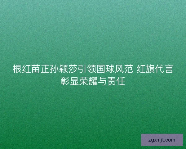根红苗正孙颖莎引领国球风范 红旗代言彰显荣耀与责任