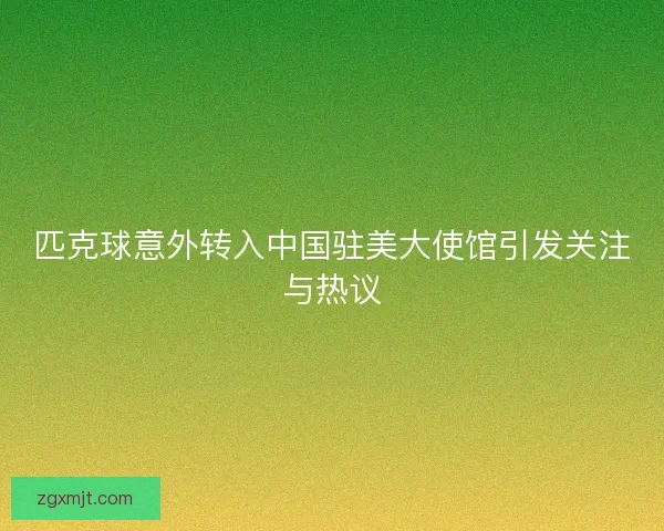 匹克球意外转入中国驻美大使馆引发关注与热议 匹克球意外转入中国驻美大使馆引发关注与热议